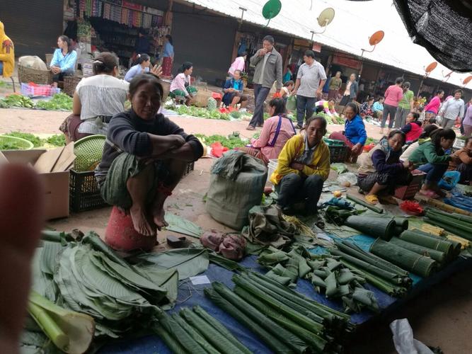 老挝农村采摘蔬菜图片