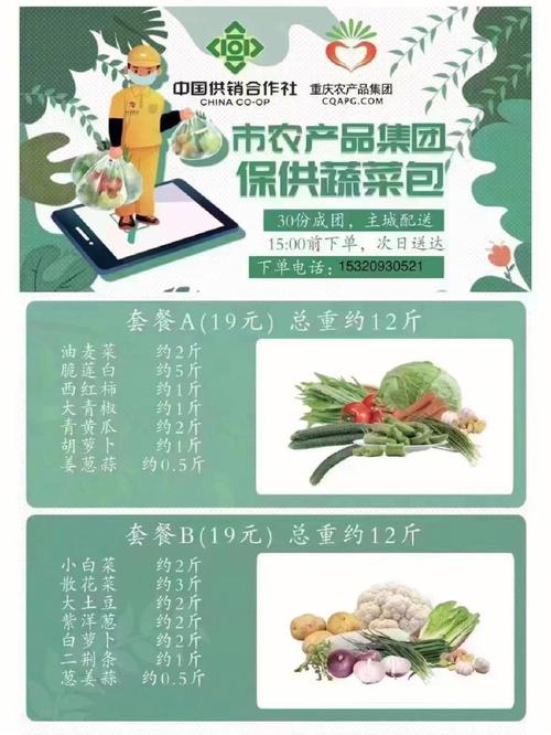 重庆农村采购蔬菜补助