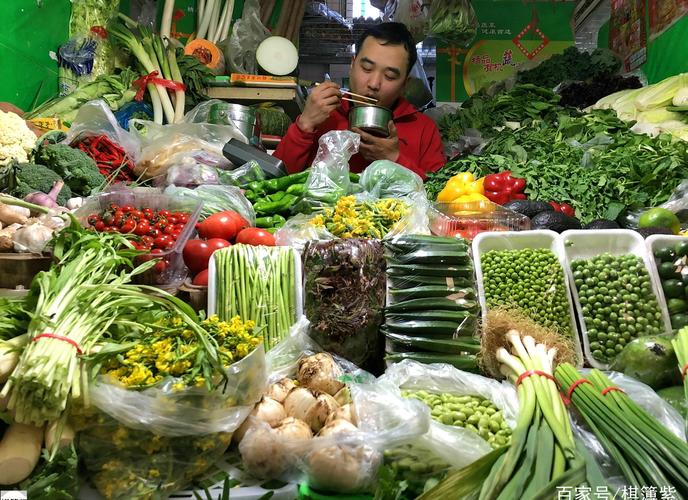 东北农村吃什么蔬菜挣钱的相关图片
