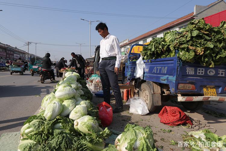东北农村蔬菜多少钱一吨的相关图片