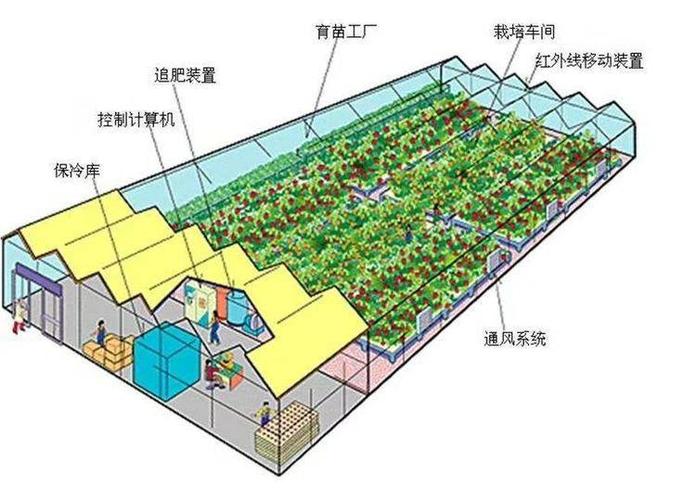 中国农村蔬菜大棚建设方案的相关图片