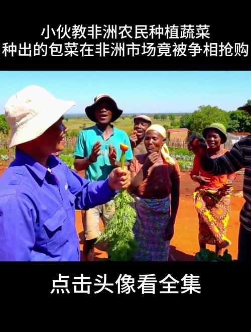 亚洲小伙教非洲农村种蔬菜的相关图片
