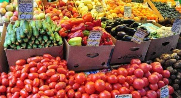 俄罗斯农村种植蔬菜补贴的相关图片