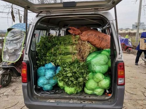 兰州农村流动卖蔬菜车辆的相关图片