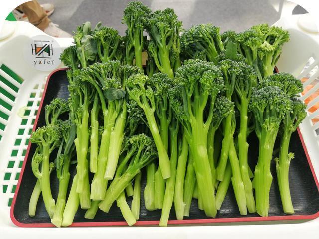 农村十元一斤的蔬菜有哪些的相关图片