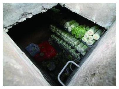 农村地下室储存蔬菜怎么办的相关图片