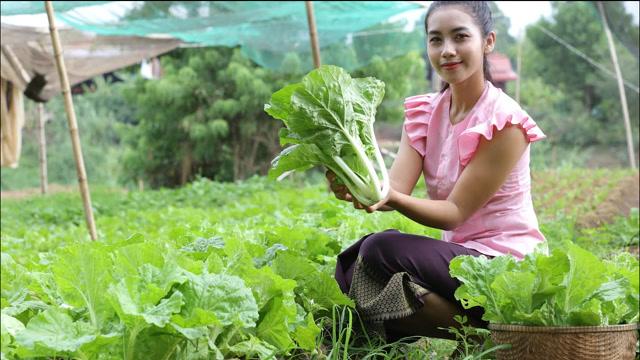 农村姑娘干活吃蔬菜视频的相关图片