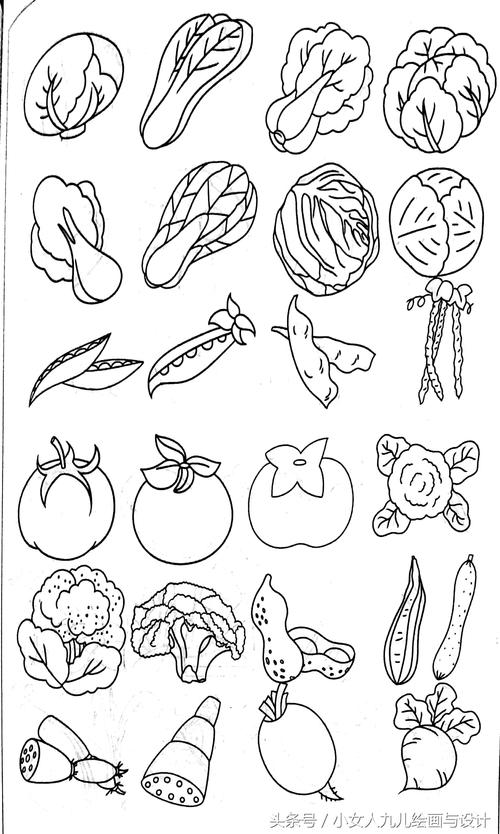 农村家庭蔬菜图片简笔画的相关图片