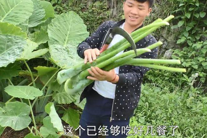 农村小哥吃蔬菜图片的相关图片