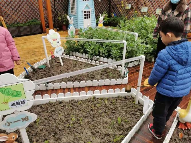 农村幼儿园建蔬菜基地的相关图片