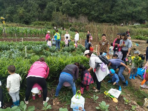 农村幼儿园建蔬菜基地申请的相关图片