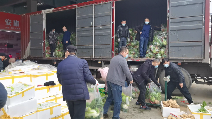 农村捐赠1万斤蔬菜大棚的相关图片