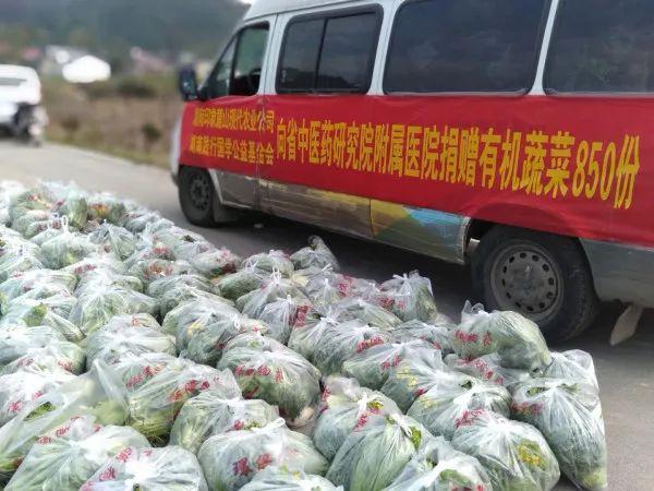 农村捐赠1万斤蔬菜收入的相关图片