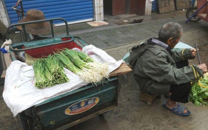 农村摆摊卖蔬菜的视频图片的相关图片