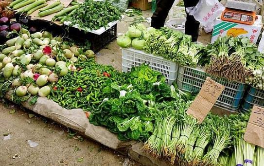 农村早市种植蔬菜的相关图片