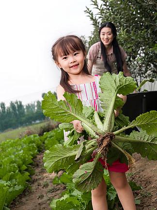 农村母女摘种植蔬菜的相关图片