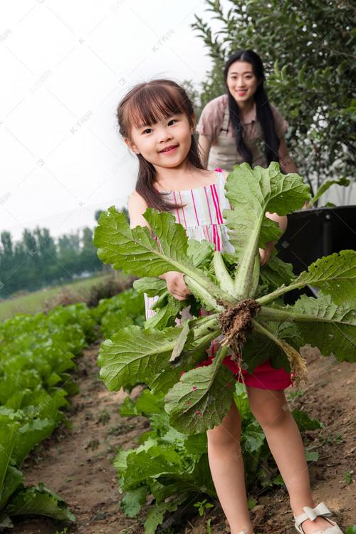 农村母女摘绿色蔬菜小说的相关图片