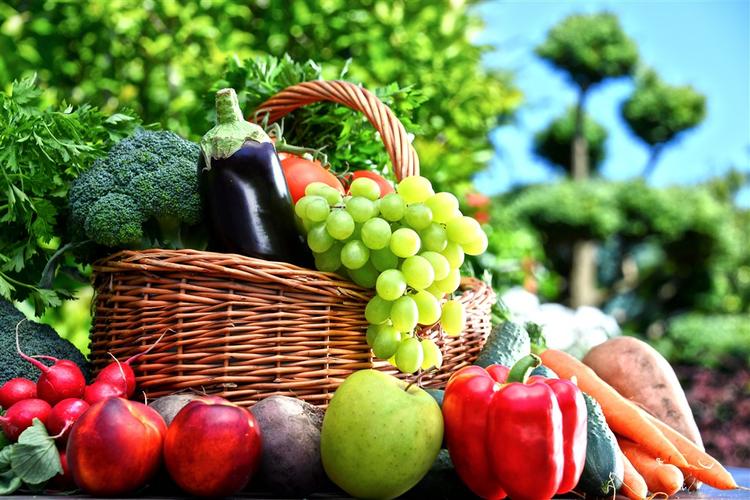 农村环境好的水果蔬菜的相关图片