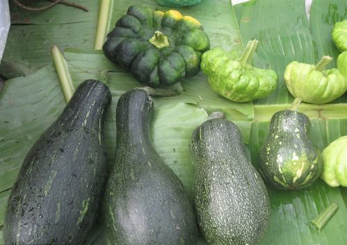 农村瓜果蔬菜品种有哪些的相关图片