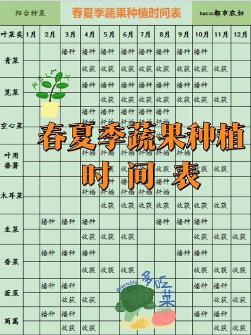 农村瓜果蔬菜种植季节表的相关图片