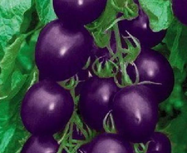 农村紫色果子蔬菜叫什么的相关图片