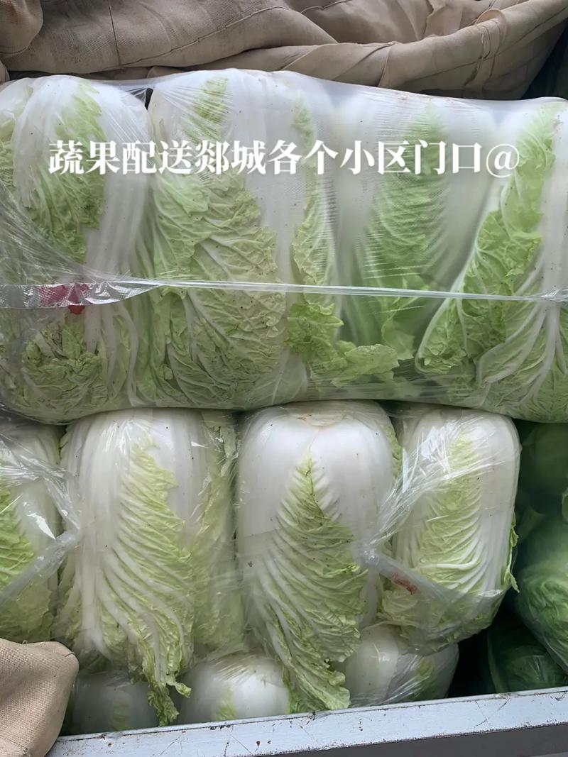 农村蔬菜40元一斤是多少的相关图片