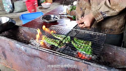 农村蔬菜可以烧烤吗视频的相关图片