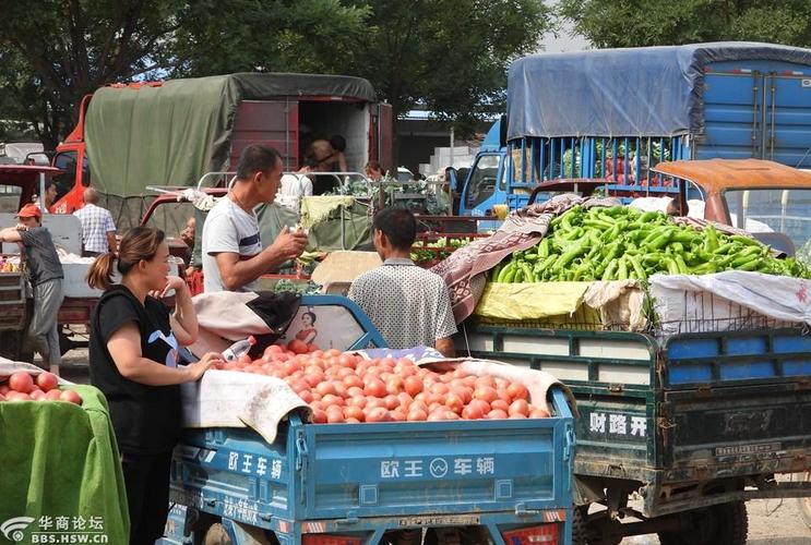 农村蔬菜市场抖音视频的相关图片