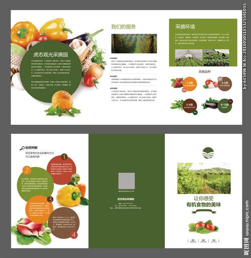 农村蔬菜水果展销方案设计的相关图片