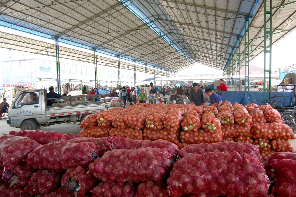 农村蔬菜生产市场的相关图片