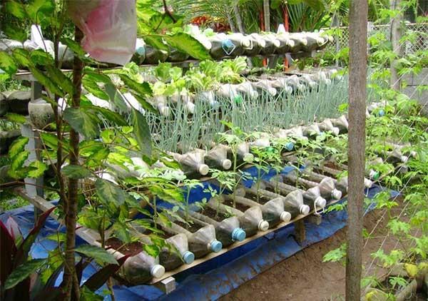 农村蔬菜种植特色容器设计的相关图片