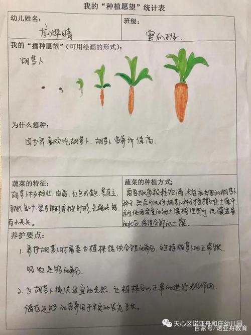 农村蔬菜种植调查日志的相关图片