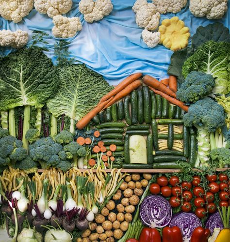 农村蔬菜装饰的相关图片