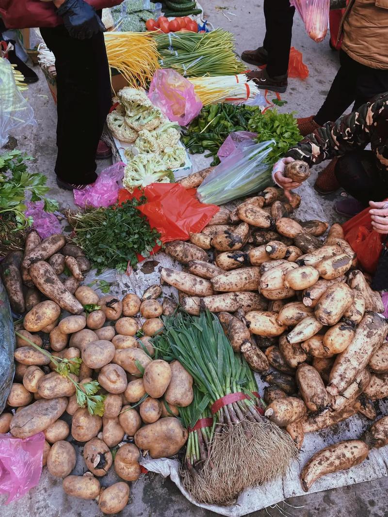 农村赶集蔬菜多少钱一斤的相关图片