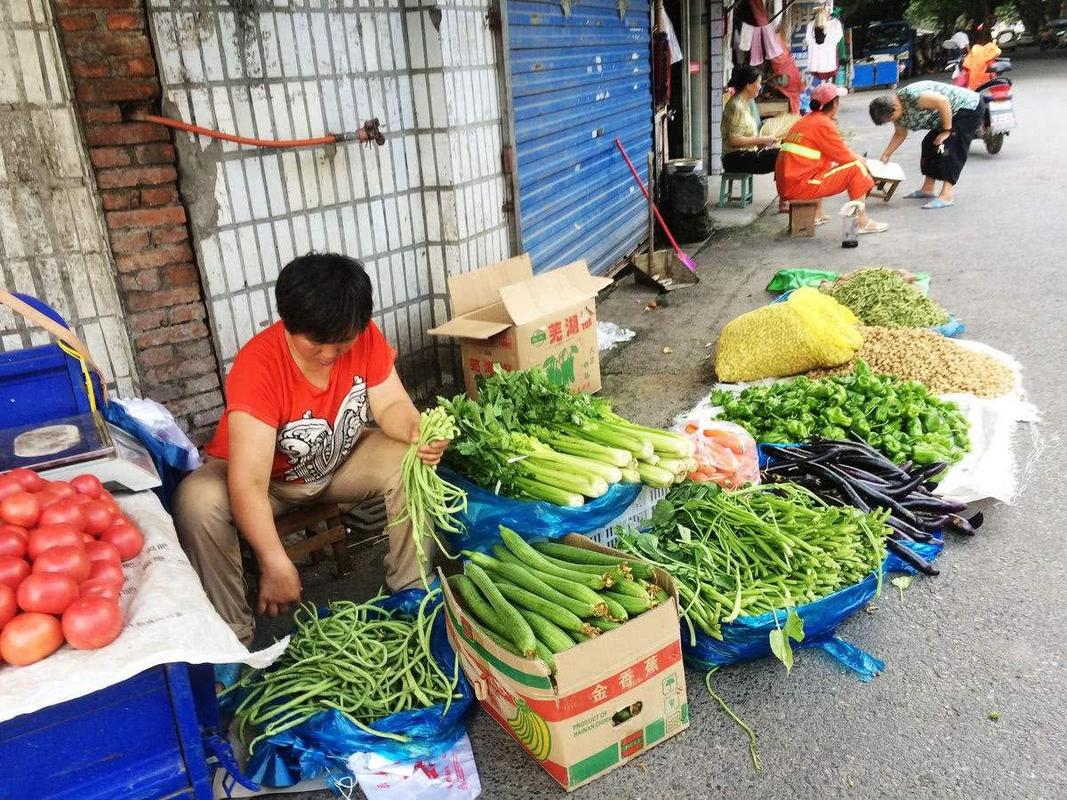 农村路边卖蔬菜视频真实的相关图片