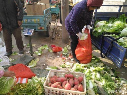 可以在农村卖的蔬菜的相关图片