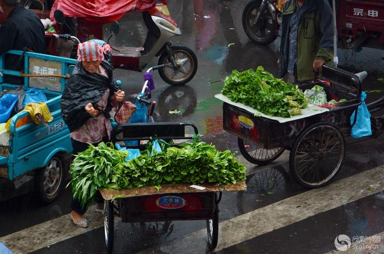 四川农村下大雨卖蔬菜图片的相关图片