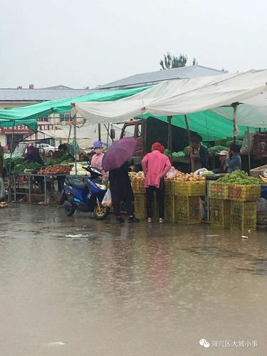 四川农村下大雨卖蔬菜视频的相关图片