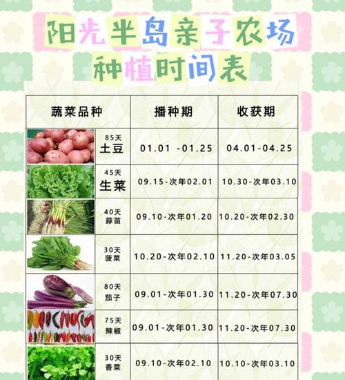 四川农村大棚种植蔬菜时间的相关图片