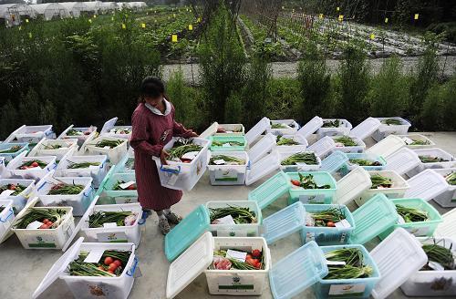 四川农村蔬菜管理办法的相关图片