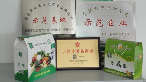 天津农村蔬菜合作社的相关图片