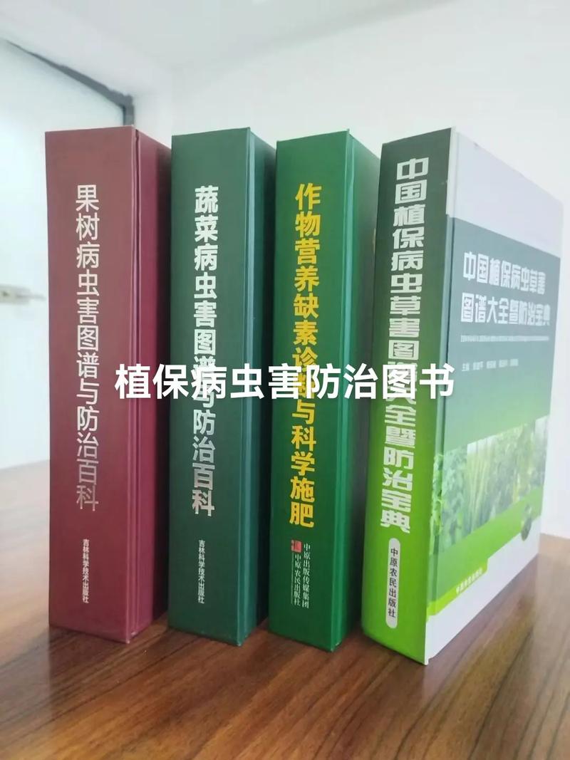 孟津县新农村蔬菜招聘信息的相关图片