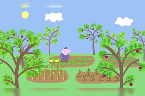 小猪佩奇去农村摘蔬菜视频的相关图片
