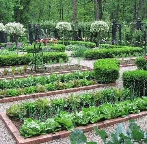 广东农村院子种植蔬菜行吗的相关图片