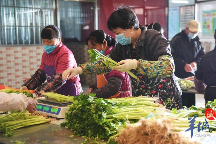 广州农村蔬菜配送的相关图片