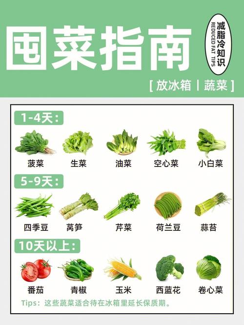 广西农村不放冰箱蔬菜的相关图片