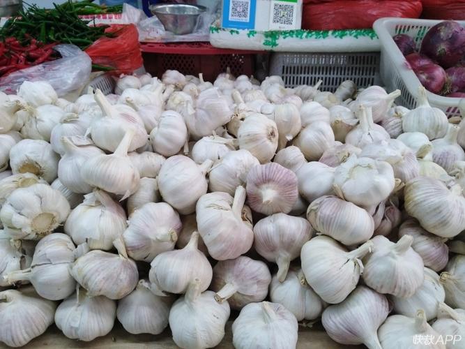 徐州农村蔬菜销售的相关图片