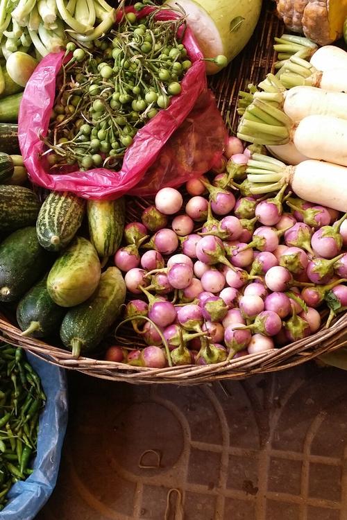 柬埔寨农村蔬菜的相关图片