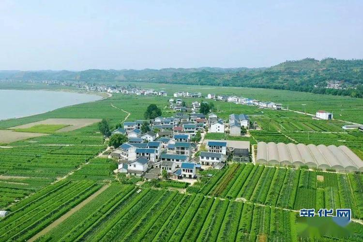 桂林农村生态蔬菜基地招标的相关图片