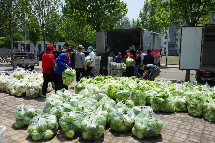 武汉农村捐赠蔬菜给学校的相关图片
